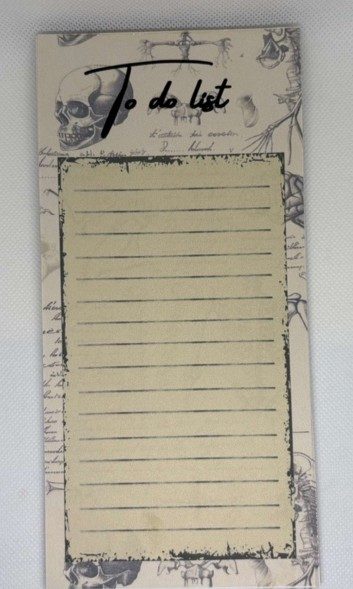 Vintage Anatomy To Do List