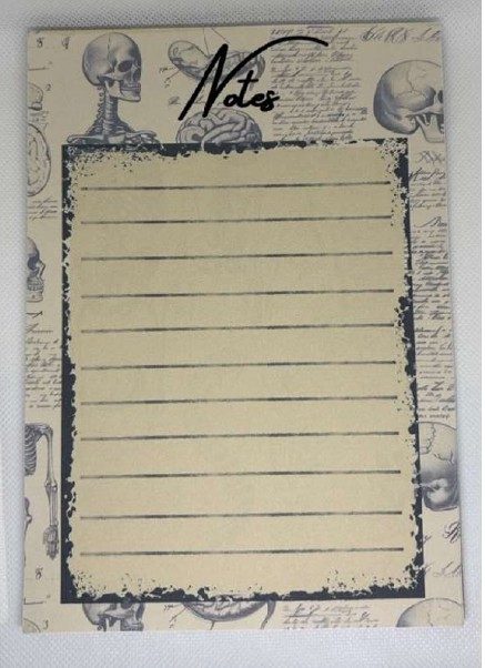 Vintage anatomy Notepad
